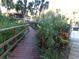 Wooden walkway through lush tropical landscaping at 110 Cypress Woods Ct # 5C, Deltona, FL 32725