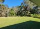 Large grassy backyard with mature trees and lush greenery at 7830 Sw 103Rd Loop, Ocala, FL 34476