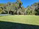Large grassy backyard with natural wooded border at 7830 Sw 103Rd Loop, Ocala, FL 34476