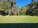 Spacious backyard with grassy area and lush landscaping at 7830 Sw 103Rd Loop, Ocala, FL 34476