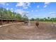 Two horses in a well-maintained riding arena at 14181 Se 211Th Court, Umatilla, FL 32784