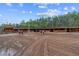 Two horses stand in the outdoor riding arena at 14181 Se 211Th Court, Umatilla, FL 32784
