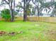 Fenced backyard with grassy area and trees at 3011 Nw 3Rd Ter, Ocala, FL 34475