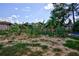 Lush garden with various plants, including corn and banana trees at 567 Silver Course Run, Ocala, FL 34472