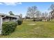 Spacious backyard with grassy lawn and mature trees at 10881 Sw 79Th Ter, Ocala, FL 34476