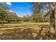 Open backyard with mature trees at 11782 Sw 140Th St, Dunnellon, FL 34432