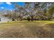 Spacious backyard with mature trees and open space at 11782 Sw 140Th St, Dunnellon, FL 34432