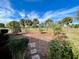 Landscaped backyard with palm trees at 15338 Sw 14Th Avenue Rd, Ocala, FL 34473