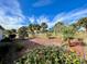 Landscaped backyard with palm trees at 15338 Sw 14Th Avenue Rd, Ocala, FL 34473