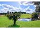 Pond and palm tree on the golf course at 5247 Nw 18Th St, Ocala, FL 34482