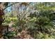 Serene backyard oasis with a wooden bench nestled amongst diverse plantings at 3751 Se 3Rd Ave, Ocala, FL 34471