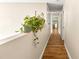 Long hallway with wood flooring and potted plant at 8083 Se 62Nd Loop, Ocala, FL 34472