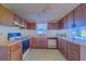 Kitchen with wood cabinets, built-in appliances, and linoleum floor at 2429 Cr 451, Lake Panasoffkee, FL 33538