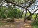 Wooded backyard with a shed at 16789 Se 69Th Ln, Ocklawaha, FL 32179