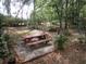 Private patio with picnic table and seating at 16789 Se 69Th Ln, Ocklawaha, FL 32179