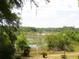 Scenic view of a lake surrounded by trees at 16789 Se 69Th Ln, Ocklawaha, FL 32179