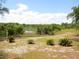 Peaceful backyard with lush landscaping and a pond view at 16789 Se 69Th Ln, Ocklawaha, FL 32179
