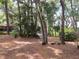 Wooded front yard with lush landscaping and large trees at 16789 Se 69Th Ln, Ocklawaha, FL 32179