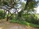 Landscaped yard with mature trees and greenery at 16789 Se 69Th Ln, Ocklawaha, FL 32179