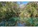 Serene spring head with a gazebo, offering a tranquil escape into nature at 8975 Sw 202Nd Avenue Rd, Dunnellon, FL 34431