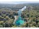 Aerial view of Rainbow River showcasing crystal-clear water and lush greenery at 8975 Sw 202Nd Avenue Rd, Dunnellon, FL 34431