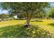 Backyard with a large tree and bird bath at 9145 Sw 90Th St, Ocala, FL 34481