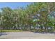 Scenic waterfront view with lush vegetation at 25235 Ne 142Nd Ne Ln # Lot 185, Salt Springs, FL 32134