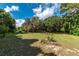 Spacious backyard with a large grassy area and mature trees at 15669 Se 112Th Ln, Ocklawaha, FL 32179