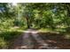Long private driveway leading through lush, natural landscape at 15669 Se 112Th Ln, Ocklawaha, FL 32179