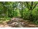 Driveway meandering through a wooded, natural landscape at 15669 Se 112Th Ln, Ocklawaha, FL 32179