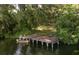 Aerial view of a wooden dock with a canoe on the lake at 15669 Se 112Th Ln, Ocklawaha, FL 32179