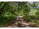 Picturesque tree-lined driveway leading through a wooded area at 15669 Se 112Th Ln, Ocklawaha, FL 32179