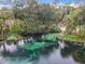 Aerial view of a crystal-clear spring and surrounding trees at 10020 Sw 202Nd Cir, Dunnellon, FL 34431