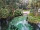 Aerial view of a spring-fed river with lush greenery at 10020 Sw 202Nd Cir, Dunnellon, FL 34431