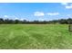 Large grassy pasture with trees in the background at 4344 Cr 542H, Bushnell, FL 33513
