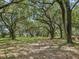Peaceful wooded area with large oak trees and lush green grass at 4344 Cr 542H, Bushnell, FL 33513