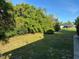 Expansive backyard with lush greenery at 3817 Sw 161St Loop, Ocala, FL 34473