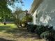 Landscaped backyard with lush greenery at 3817 Sw 161St Loop, Ocala, FL 34473