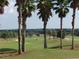 Scenic view of a lush golf course with palm trees at 9033 Se 136Th Loop, Summerfield, FL 34491