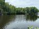 Serene waterfront view with lush vegetation and calm waters at 56633 Otter Rd, Astor, FL 32102