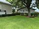 Large grassy backyard with well-maintained hedges and a tree at 56633 Otter Rd, Astor, FL 32102