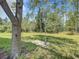 Wooden swing hanging from a tree in the spacious backyard at 5401 Se 162Nd St # 32, Summerfield, FL 34491
