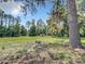 Large backyard with a shed and plenty of trees at 5401 Se 162Nd St # 32, Summerfield, FL 34491