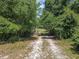 Long private driveway leading to a home in a wooded area at 5401 Se 162Nd St # 32, Summerfield, FL 34491