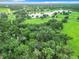 Aerial view showcasing home's private setting amidst sprawling pastures and a lake at 6615 Se 158Th Pl # 6, Summerfield, FL 34491
