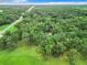 Aerial view of property near road and green pastures at 6615 Se 158Th Pl # 6, Summerfield, FL 34491