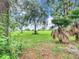Green field with palm trees and lush vegetation at 6615 Se 158Th Pl # 6, Summerfield, FL 34491