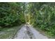 Long driveway through a wooded area leading to the house at 7679 S Magnolia Ave, Ocala, FL 34476