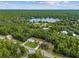 Aerial view of home, expansive backyard, and surrounding trees at 49 Fisher Way, Ocklawaha, FL 32179