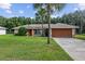 House exterior with a large yard, palm trees and a basketball hoop at 49 Fisher Way, Ocklawaha, FL 32179